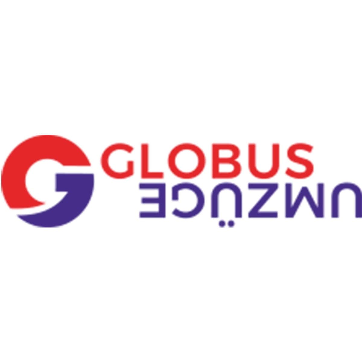Globus Umzüge