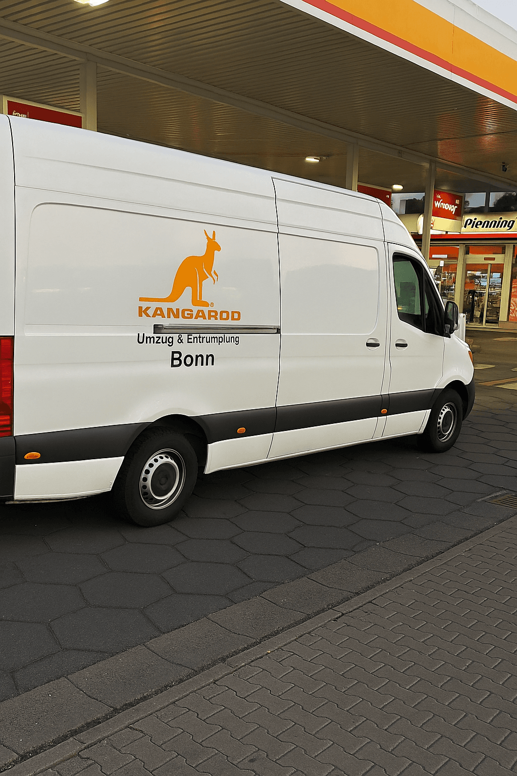 Kangaroo Umzug