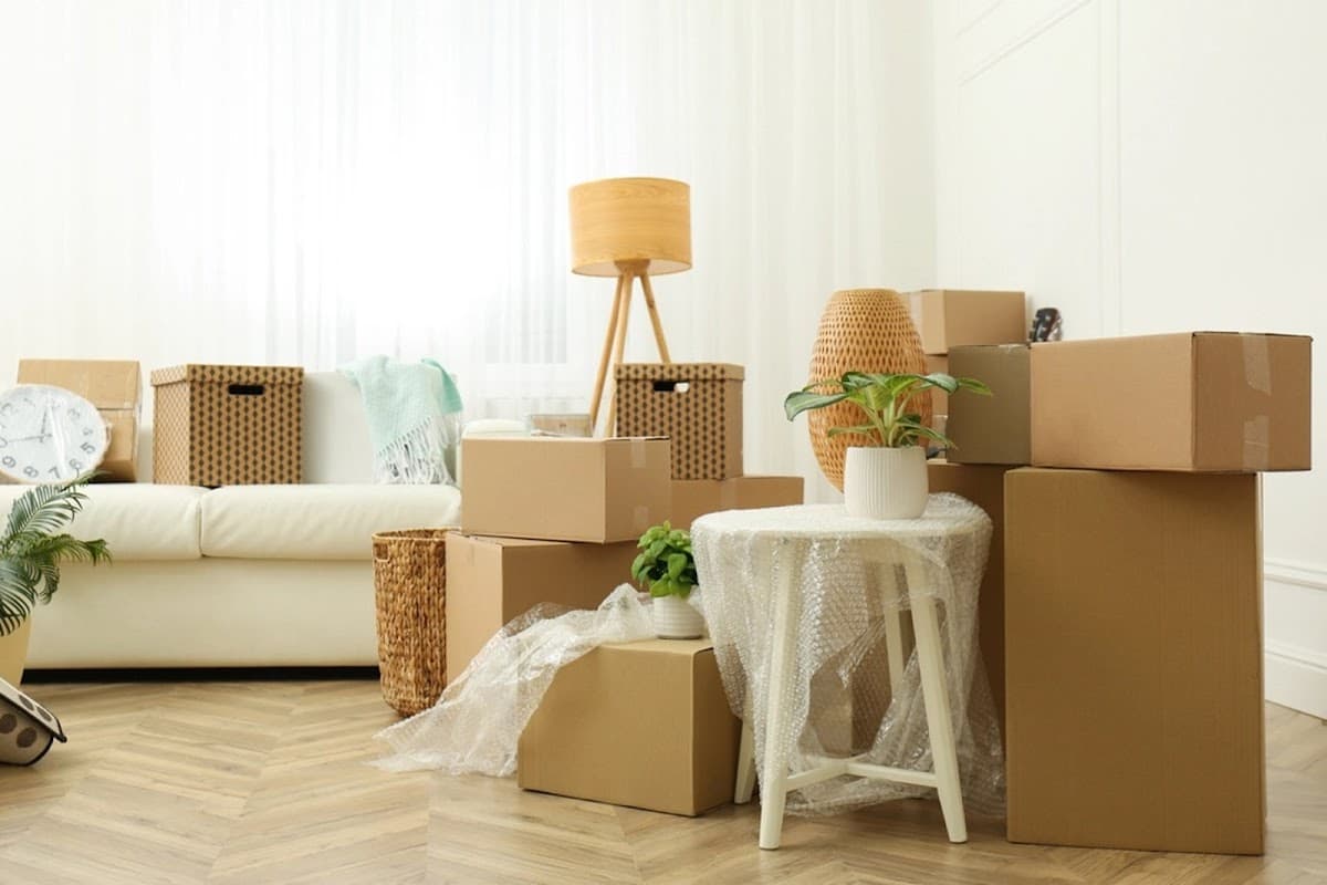 Wölfe Umzüge