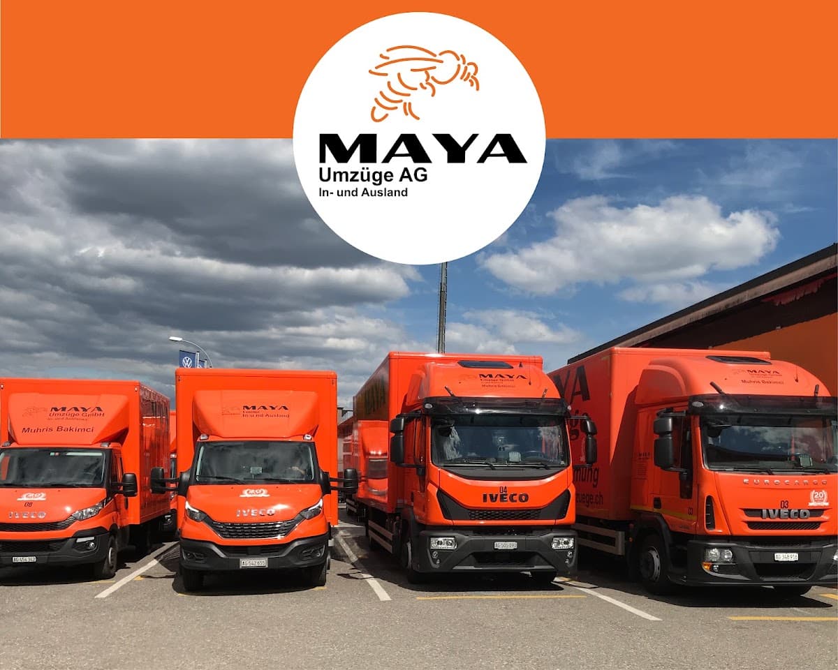BIENE MAYA UMZÜGE | Möbellift, Räumungen, Lagerung, Klaviertransporte