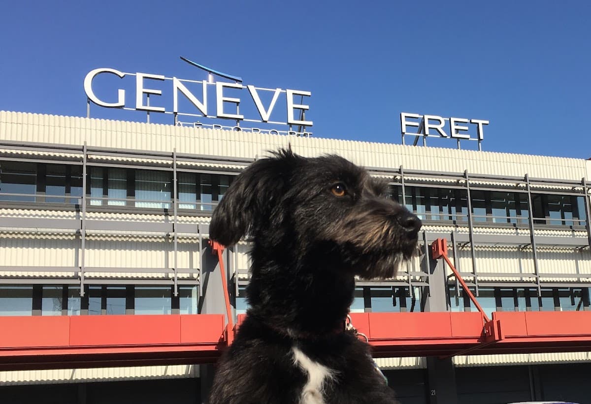 Global Pet Mover Switzerland